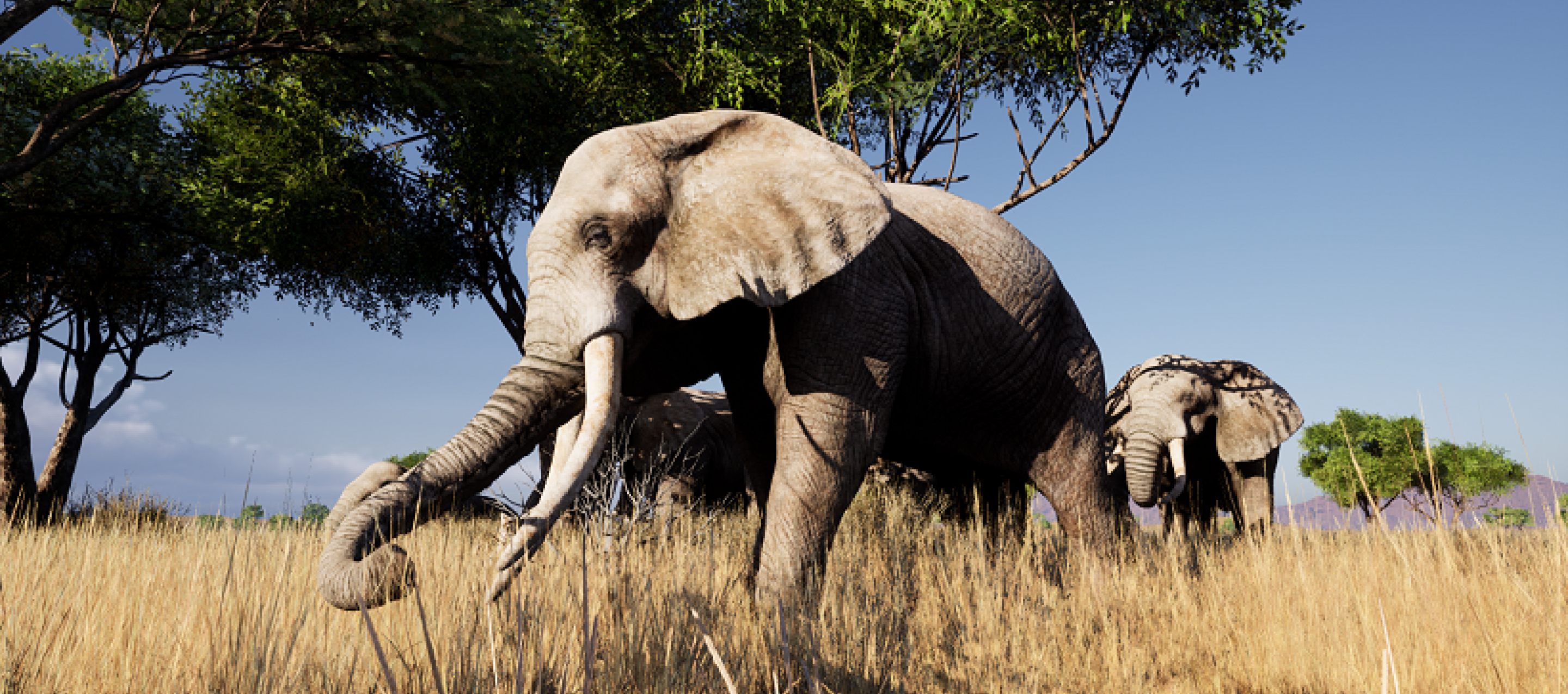 Hologram Zoo Niagara