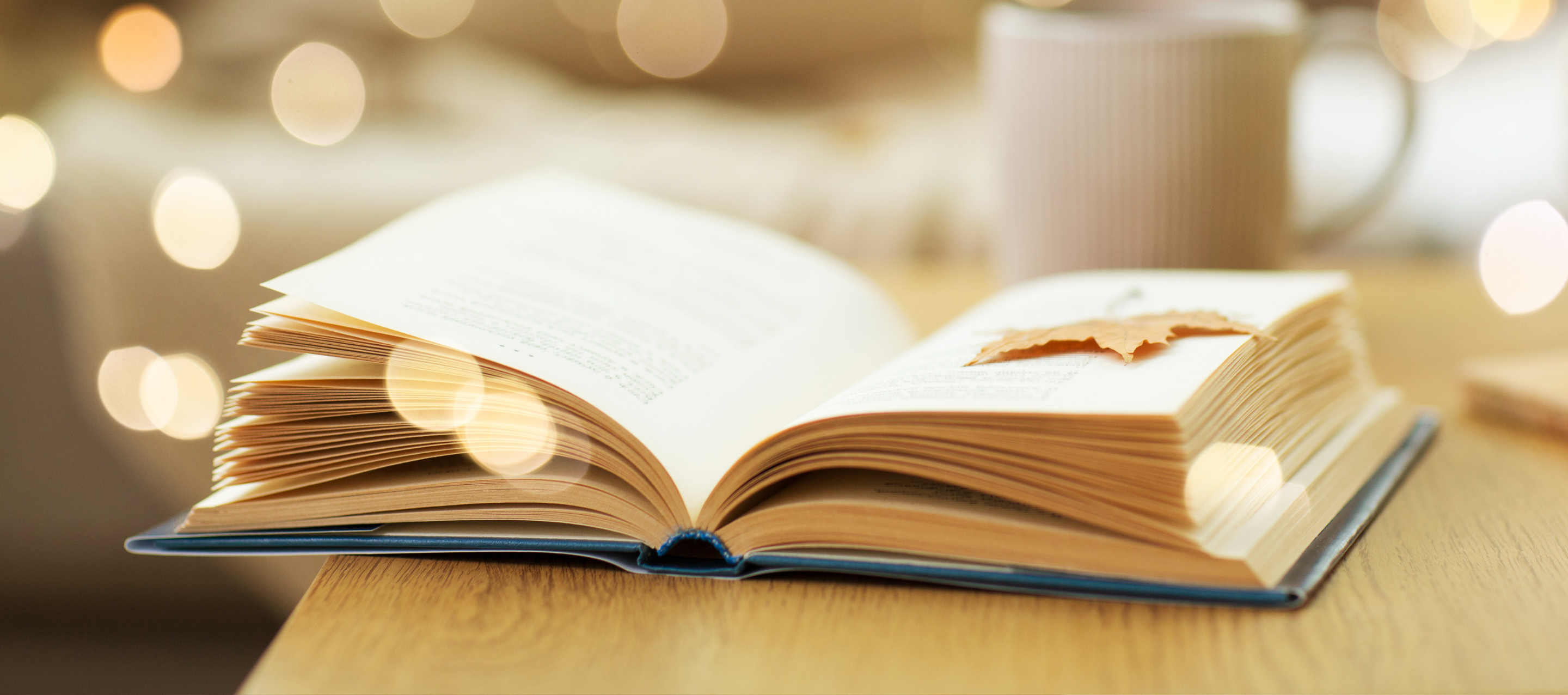  Coast to Coast Literary Series Canada's Literary Women - Jeanette Lynes, The Paper Birds