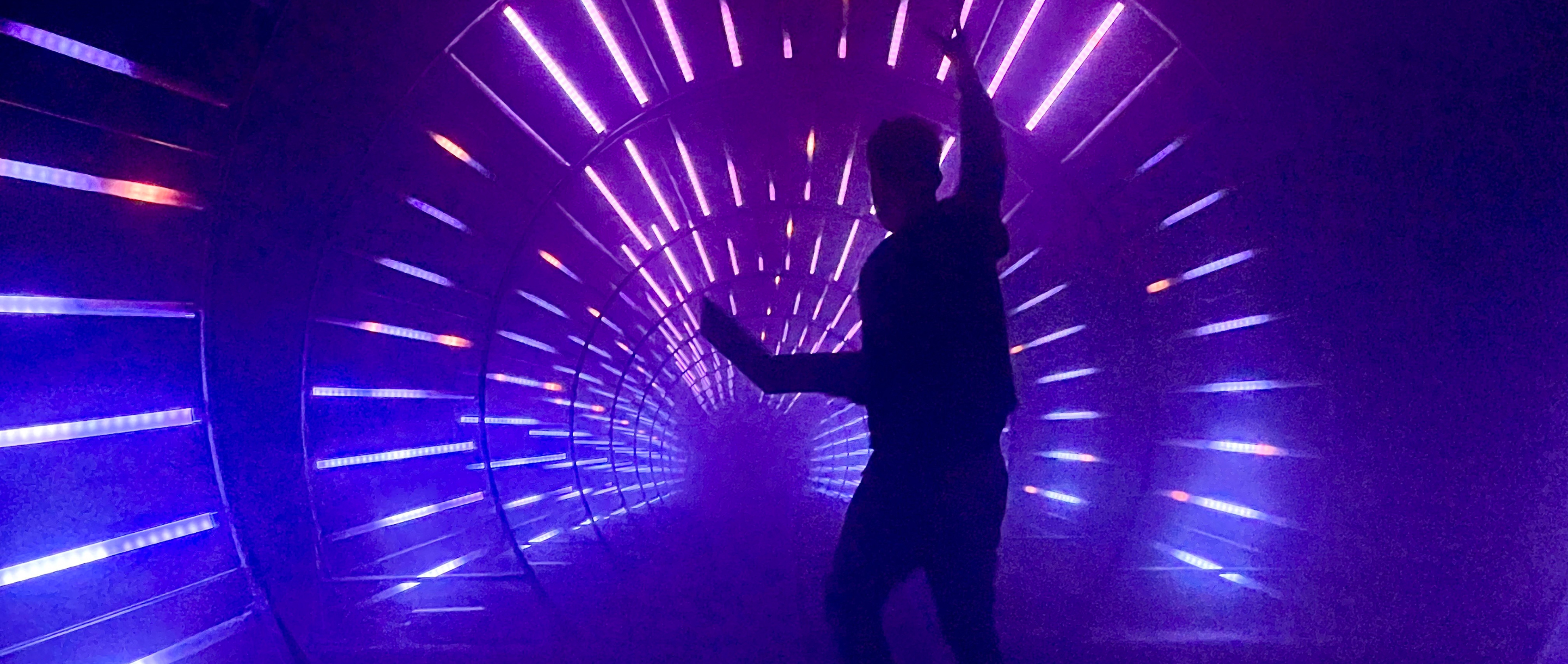 Interactive & Immersive Exhibits